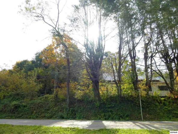572 Proffitt Rd, Gatlinburg, TN 37738